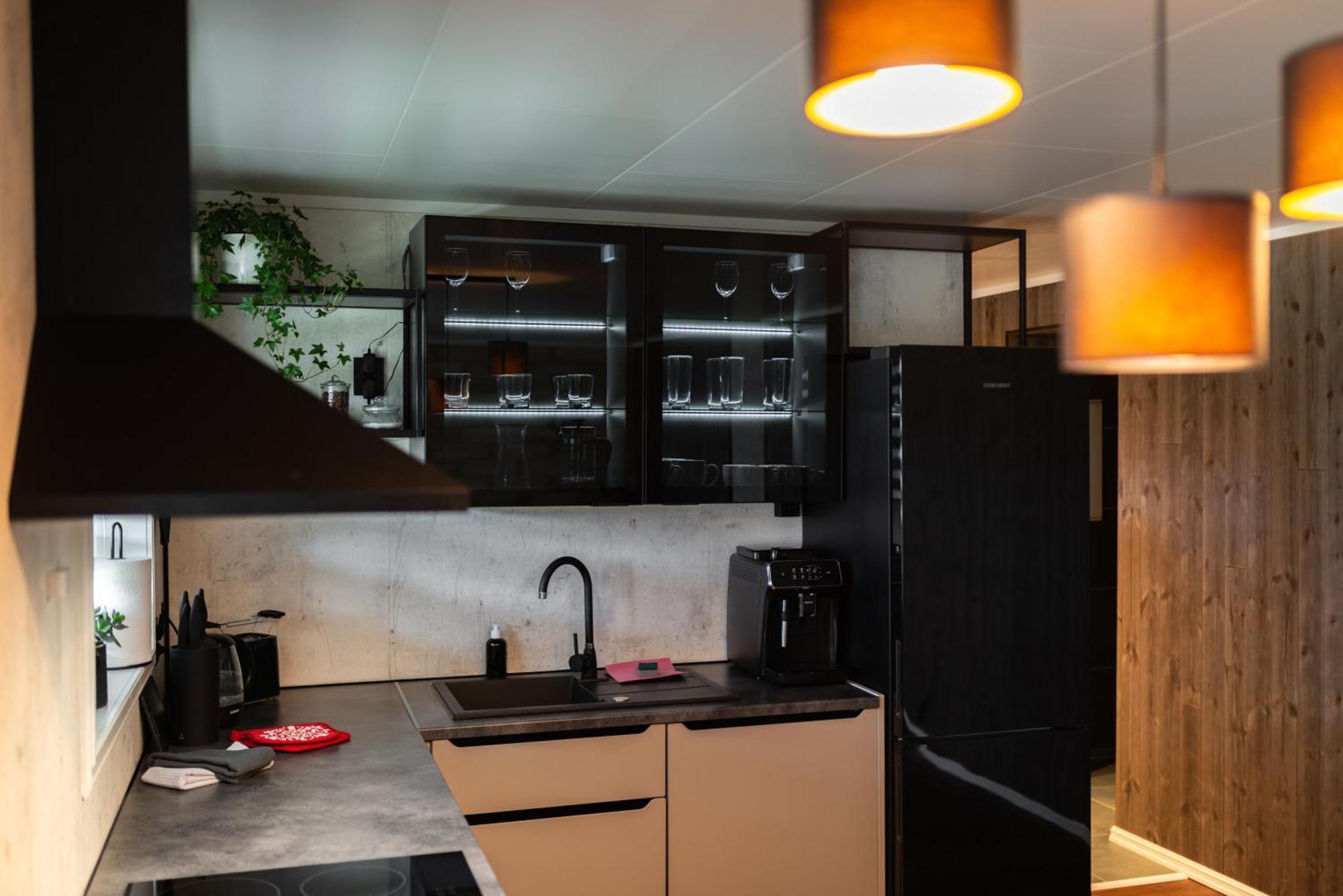 ראמברג Lofoten Green Studio מראה חיצוני תמונה